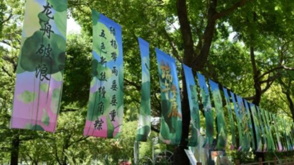 郑秀妍郑秀晶黄礼志申有娜新闻图