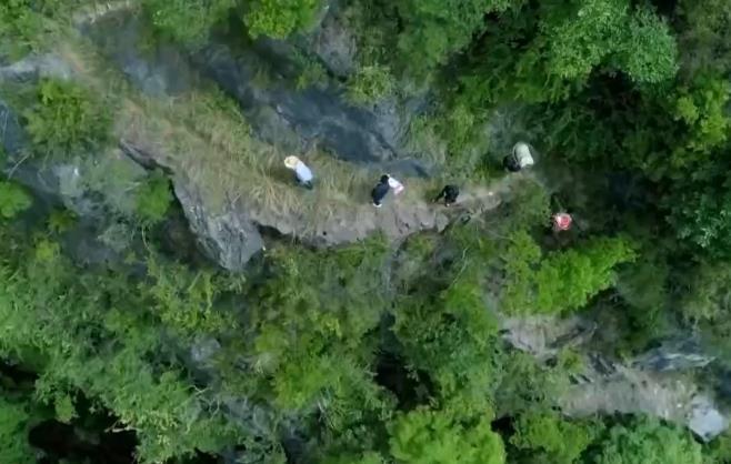 官方回应贵州王乃山突发山火