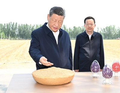 阿娇复胖
