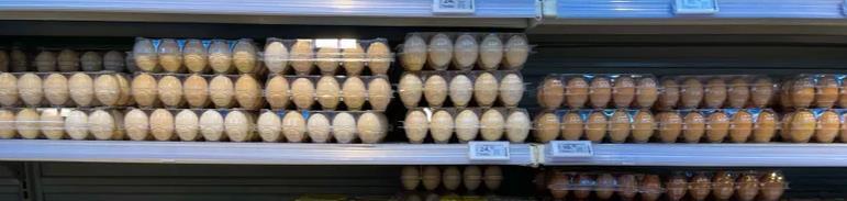 学者解读中缅“胞波”之情：承载特殊情谊，两国合作可期
