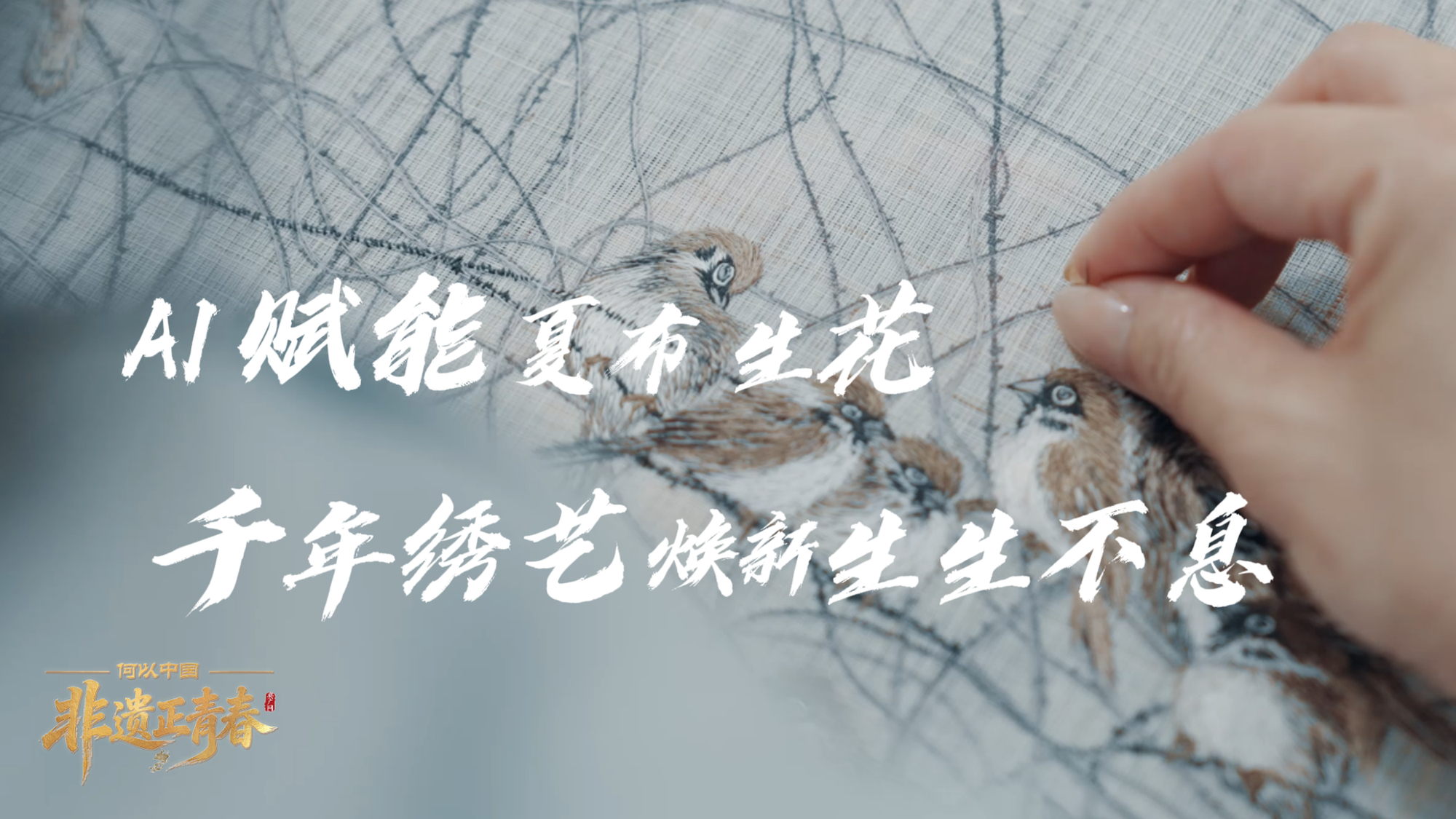 七夜雪至美江湖直播局