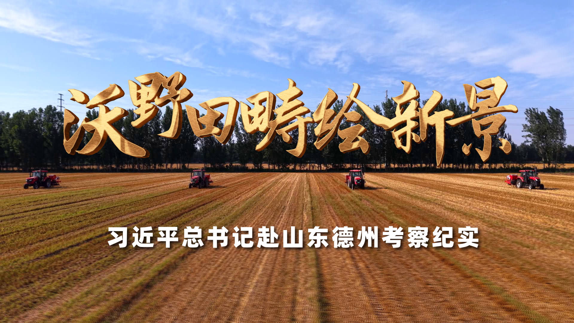 外逃鸡西原副市长涉案逾亿