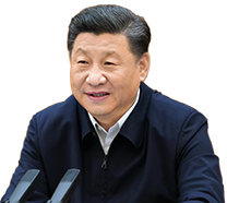 哀牢山发现全球仅千只的鸟