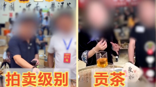 哀牢山发现全球仅千只的鸟
