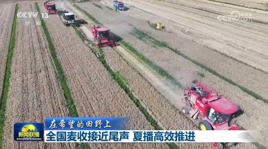 张本智和模仿樊振东模仿姆巴佩