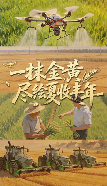 不玩大冰梗了