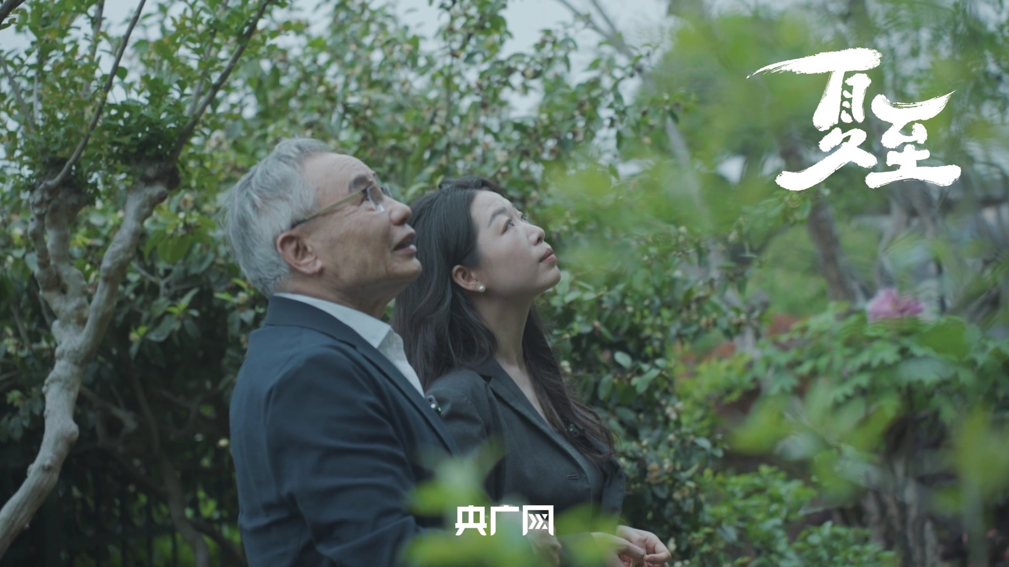 系列