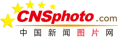 第五人格