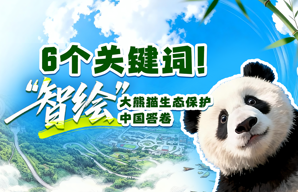 朱雀三号重复使用遥二运载火箭完成静态点火试验